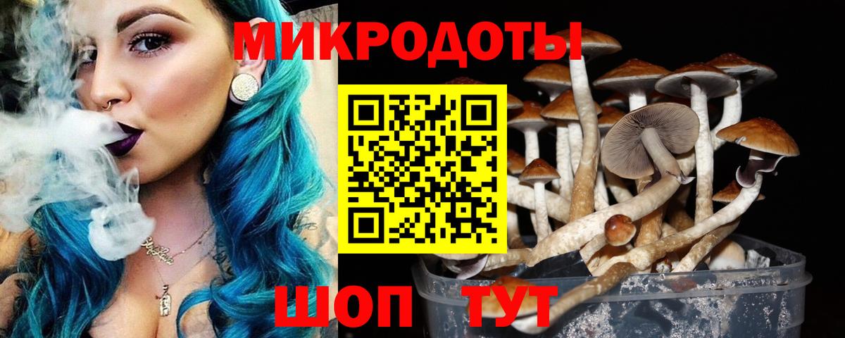 Белогорск  Галлюциногенные грибы Psilocybe  Вход с VPN 