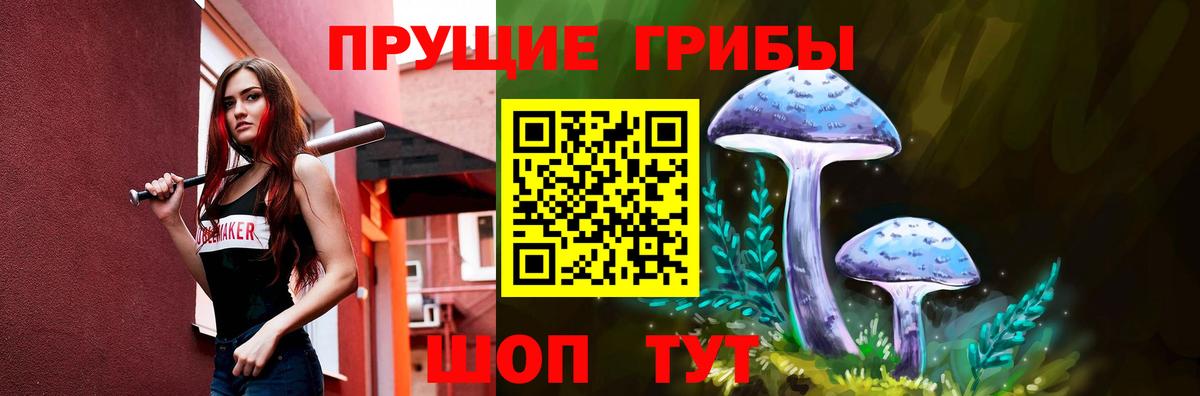 Псилоцибиновые грибы Cubensis Белогорск